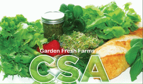 CSA Package